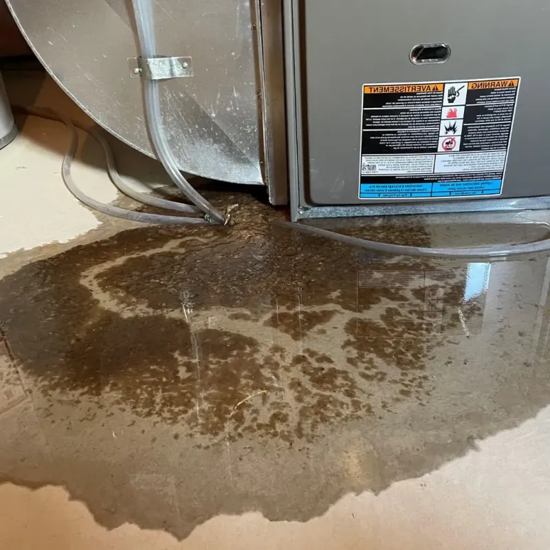 Pipe Burst and Leak Restoration in Richland, WA