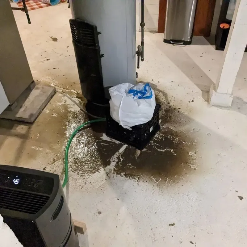 Sewage Backup Cleanup Service in Richland, WA